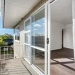 Rent 1 bedroom apartment in Ōrākei