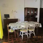 Rent 3 bedroom apartment of 70 m² in Tarquinia