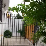 Rent 2 bedroom apartment of 90 m² in Cadiz']