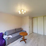 Rent 1 bedroom apartment of 30 m² in Vilnius