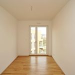 Miete 3 Schlafzimmer wohnung von 90 m² in Dresden