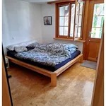 Miete 3 Schlafzimmer wohnung in Bischofszell