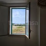 Rent 4 bedroom house of 100 m² in Trappeto