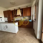 Rent 5 bedroom apartment of 134 m² in Potenza Picena