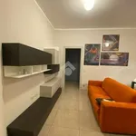 Rent 2 bedroom apartment of 60 m² in Bologna