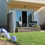 Rent 1 bedroom apartment in Tavira