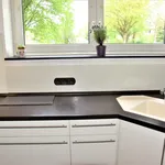 Rent 3 bedroom apartment of 22 m² in Hürth