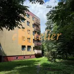 Rent 2 bedroom apartment of 38 m² in Katowice