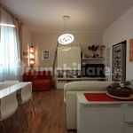 Rent 2 bedroom apartment of 60 m² in Livorno