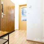 Rent 2 bedroom apartment of 45 m² in Prague