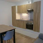 Rent 2 bedroom apartment of 40 m² in SAINT