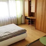 Rent 1 bedroom apartment of 29 m² in Frankfurt