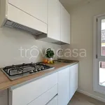 Rent 2 bedroom apartment of 36 m² in Padova