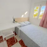 Rent a room in seville