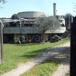 Rent 8 bedroom house of 250 m² in Orbetello