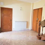 Affitto 3 camera casa di 350 m² in Roma