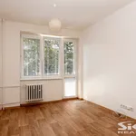 Pronájem bytu 2+1/B, 52 m2