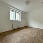 Pronajměte si 2 ložnic/e byt o rozloze 55 m² v Tábor