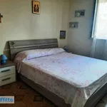 Rent 2 bedroom apartment of 50 m² in Palermo