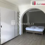 Rent 2 bedroom apartment of 95 m² in Opava