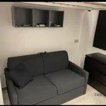 Rent 1 bedroom apartment of 30 m² in Milano