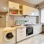 Rent 2 bedroom apartment of 50 m² in Turin