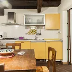 Rent 1 bedroom apartment in Florence