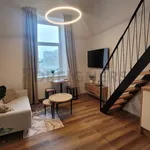 Rent 1 bedroom apartment of 32 m² in Brno