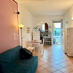 Rent 2 bedroom apartment of 56 m² in Turin