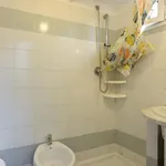 Rent 4 bedroom apartment in Rome