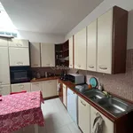 Rent 2 bedroom apartment of 60 m² in Torino