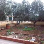 Rent 4 bedroom house of 104 m² in Marsala