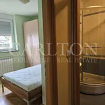 Rent 2 bedroom apartment of 42 m² in Zagreb