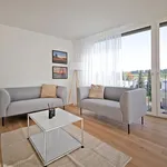 Rent 4 bedroom apartment of 70 m² in Winterthur