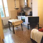 Rent 1 bedroom apartment of 45 m² in Bologna