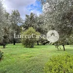 Rent 4 bedroom apartment of 100 m² in Lucca