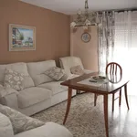 Rent 4 bedroom apartment in Seville