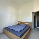 Rent 1 bedroom apartment of 40 m² in Prague