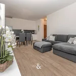 Rent 2 bedroom apartment of 61 m² in Monza