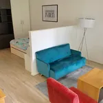 Rent 1 bedroom apartment of 41 m² in Bonn