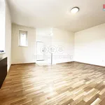 Rent 2 bedroom apartment in Pilsen