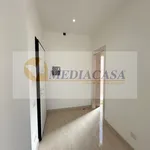 Rent 2 bedroom apartment of 55 m² in Rome