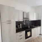 Rent 2 bedroom apartment of 65 m² in Mantova