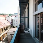 Rent 5 bedroom apartment of 142 m² in Prague