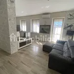 Rent 3 bedroom apartment of 98 m² in Turin