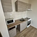 Rent 1 bedroom apartment in Most