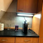 Rent 1 bedroom apartment of 60 m² in Stuttgart