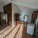 Rent 2 bedroom apartment of 63 m² in Roma