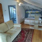 Rent 1 bedroom apartment of 49 m² in Surcà