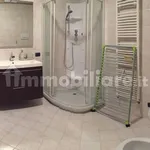 Rent 2 bedroom apartment of 60 m² in Bergamo